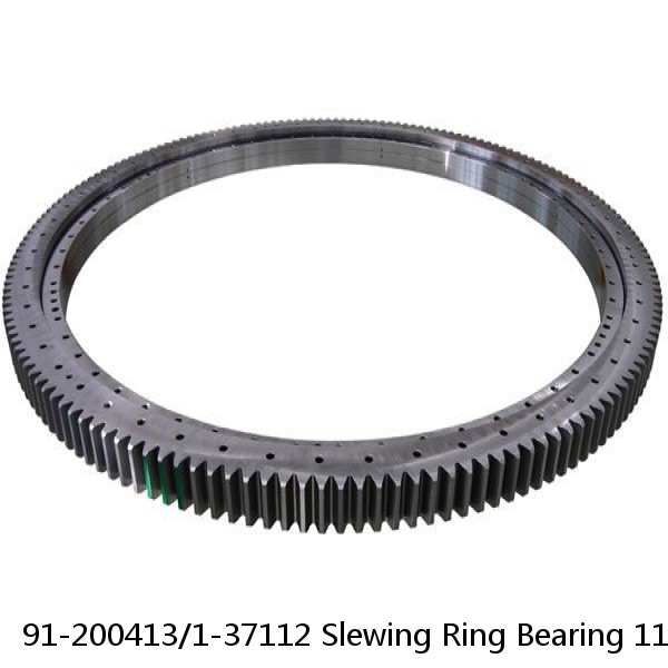 91-200413/1-37112 Slewing Ring Bearing 11.969x19.9x2.205 Inch