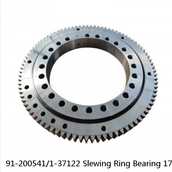 91-200541/1-37122 Slewing Ring Bearing 17.087x25.15x2.205 Inch