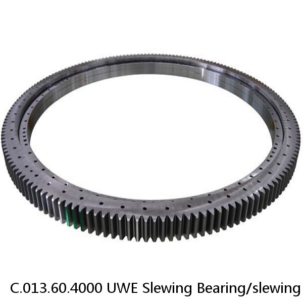 C.013.60.4000 UWE Slewing Bearing/slewing Ring