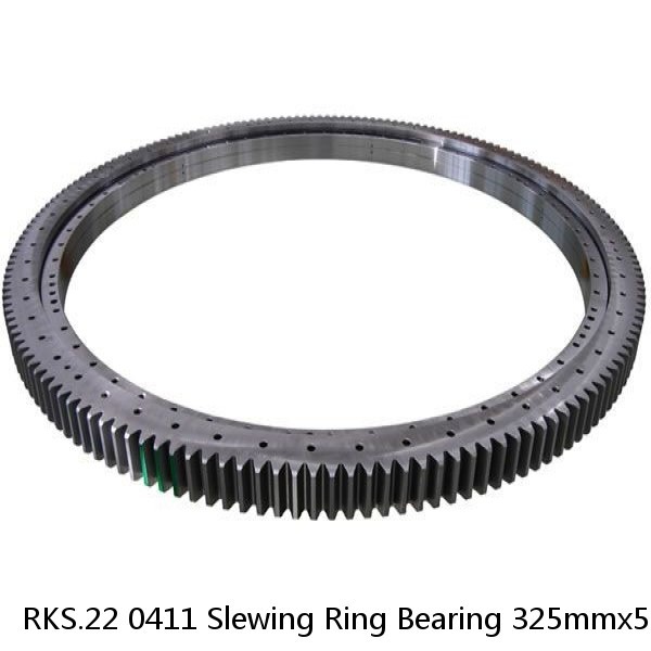 RKS.22 0411 Slewing Ring Bearing 325mmx518mmx56mm
