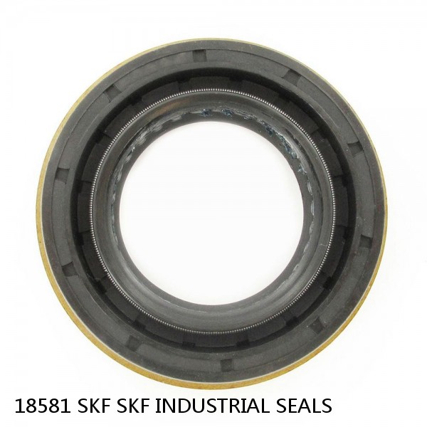18581 SKF SKF INDUSTRIAL SEALS