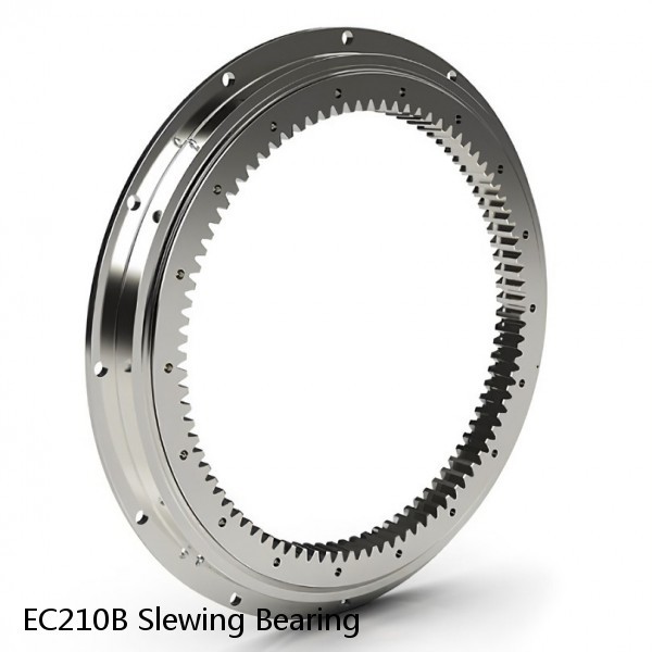 EC210B Slewing Bearing